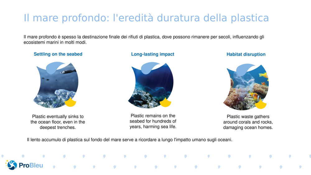 Il mare profondo: l'eredità duratura della plastica