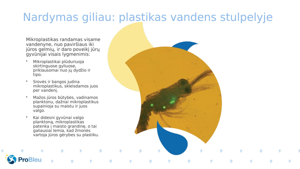 Nardymas giliau: plastikas vandens stulpelyje