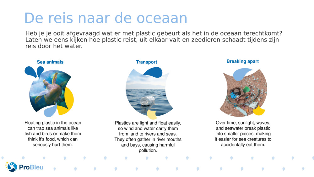 De reis naar de oceaan