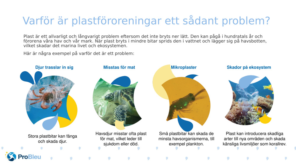 Varför är plastföroreningar ett sådant problem?