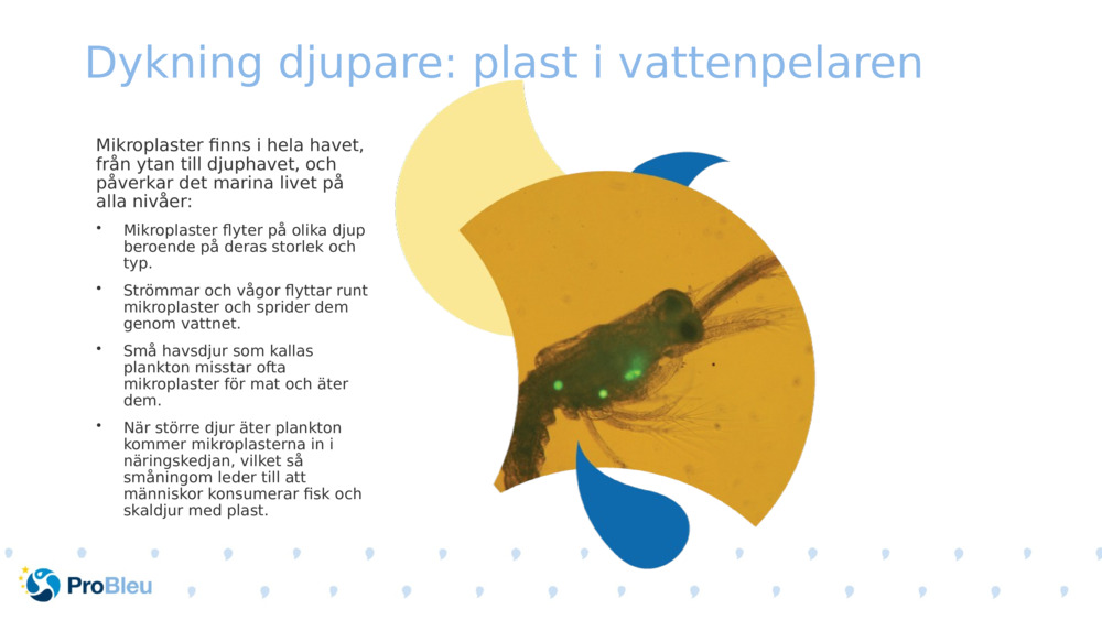 Dykning djupare: plast i vattenpelaren