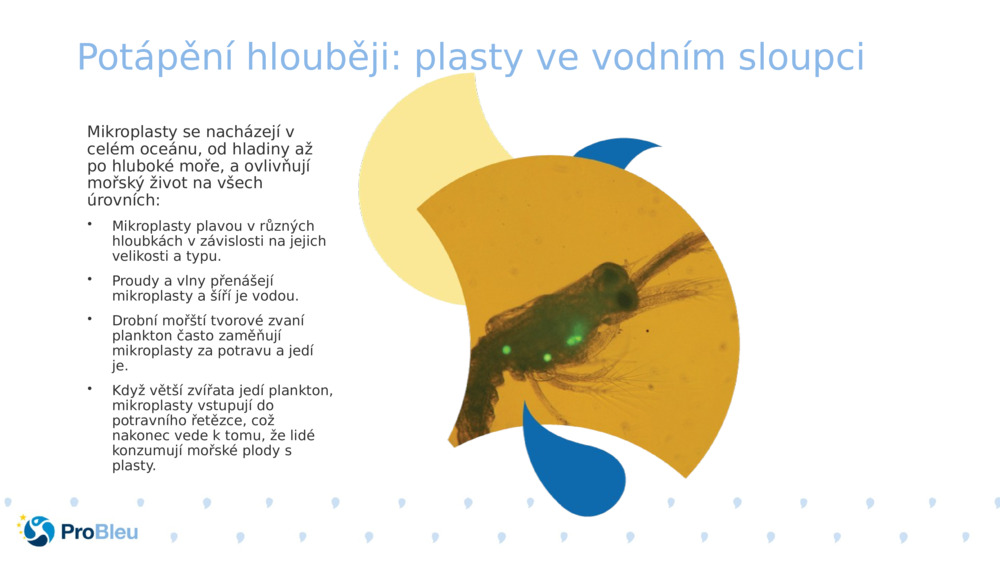 Potápění hlouběji: plasty ve vodním sloupci