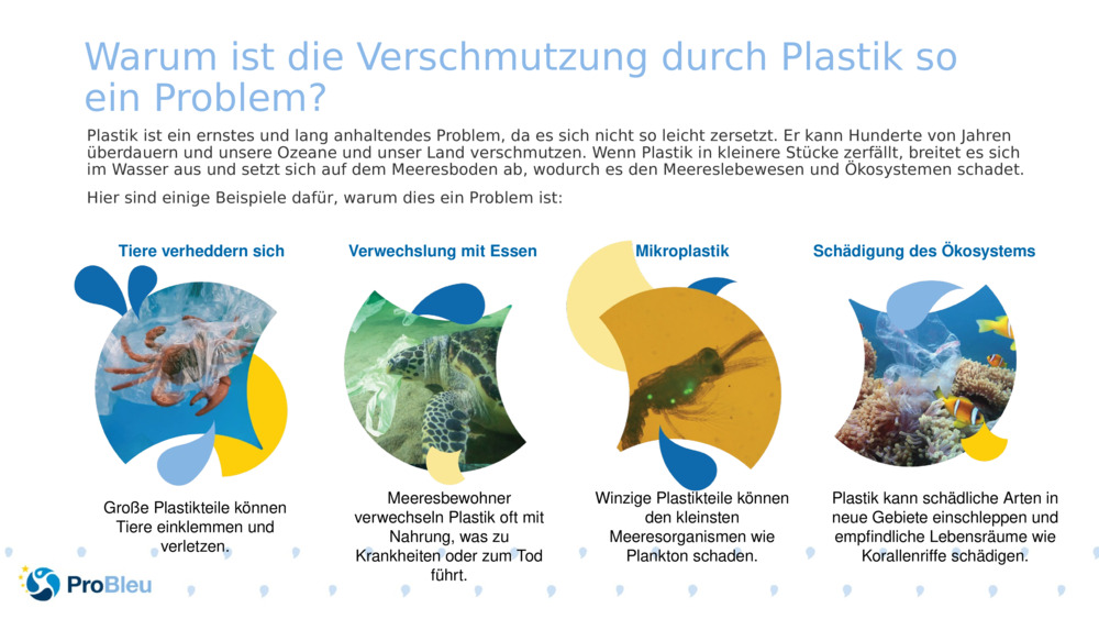 Warum ist die Verschmutzung durch Plastik so ein Problem?