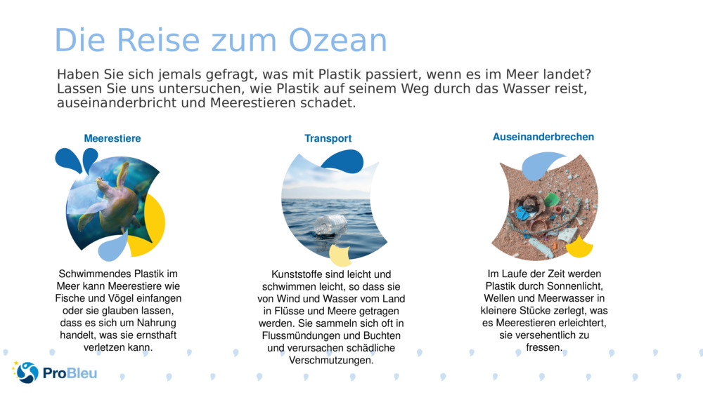 Die Reise zum Ozean