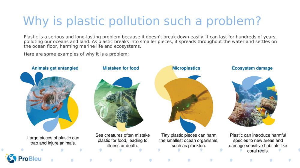 Why is plastic pollution such a problem?