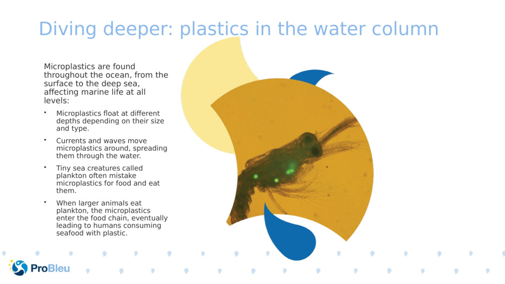 Diving deeper: plastics in the water column