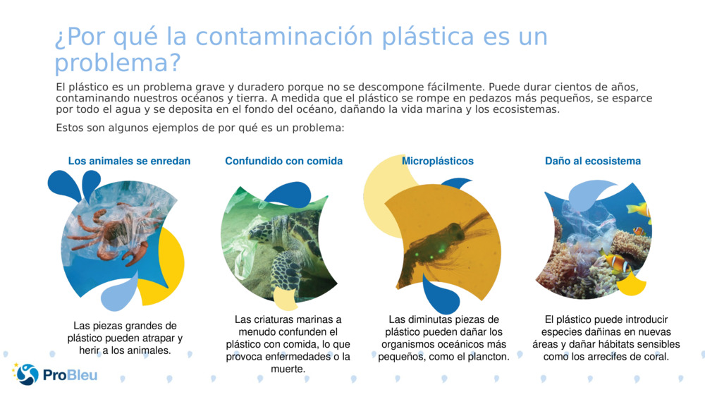 ¿Por qué la contaminación plástica es un problema?