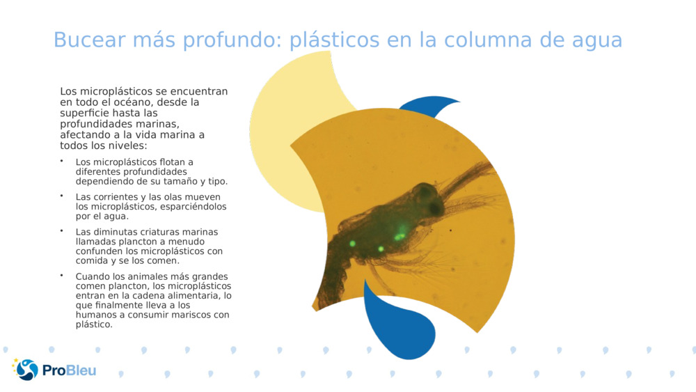 Bucear más profundo: plásticos en la columna de agua