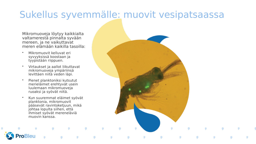 Sukellus syvemmälle: muovit vesipatsaassa