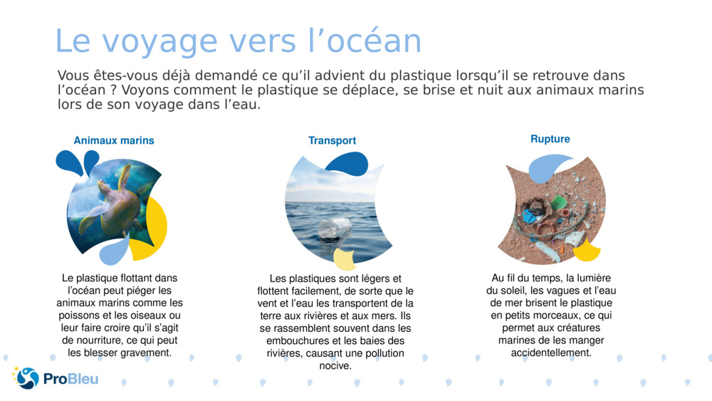 Le voyage vers l’océan