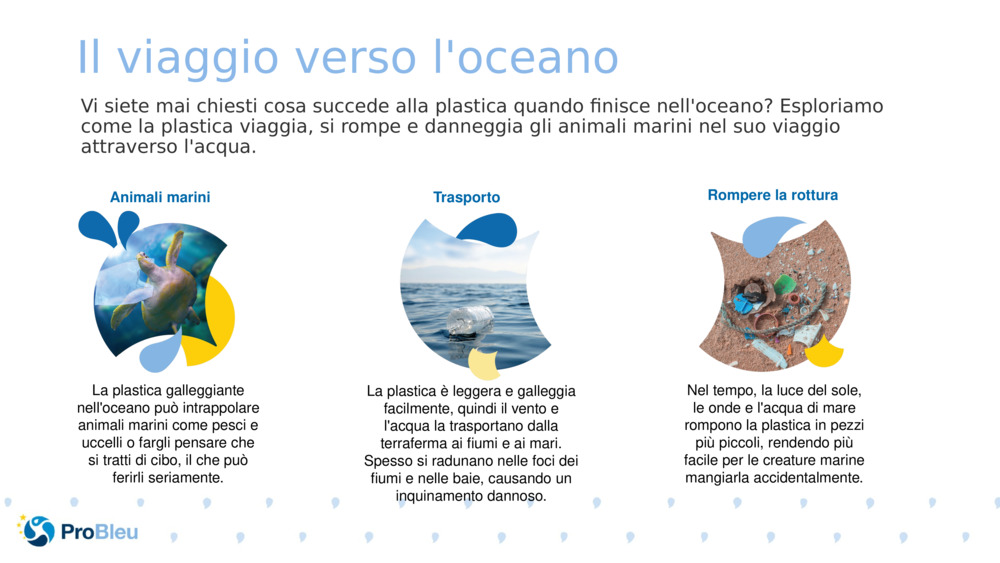 Il viaggio verso l'oceano