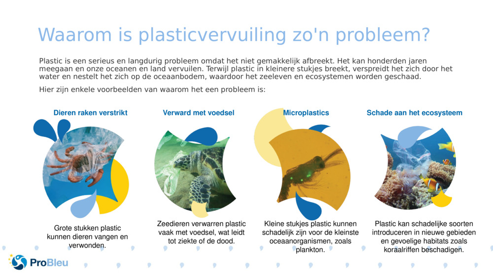 Waarom is plasticvervuiling zo'n probleem?