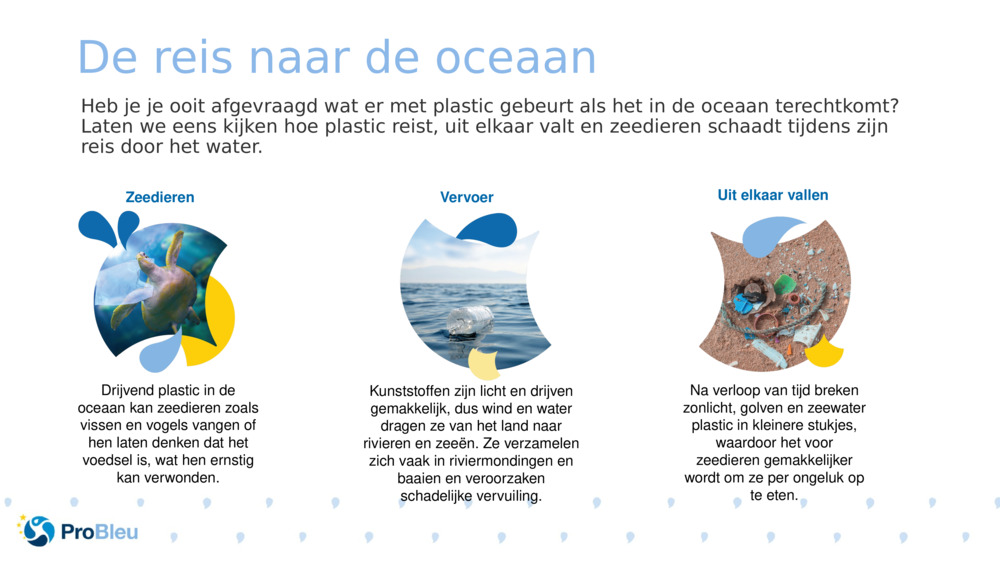 De reis naar de oceaan