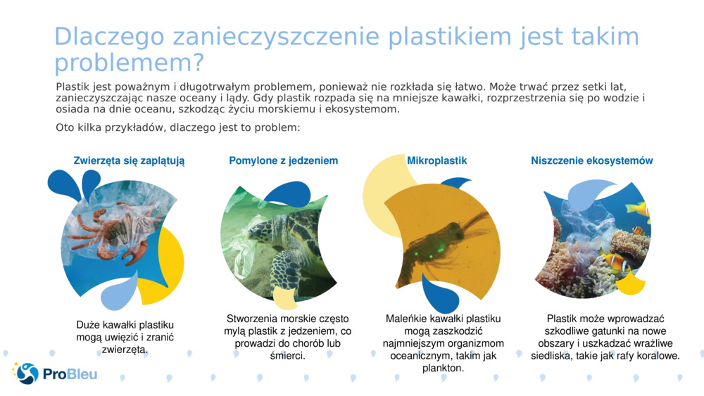 Dlaczego zanieczyszczenie plastikiem jest takim problemem?