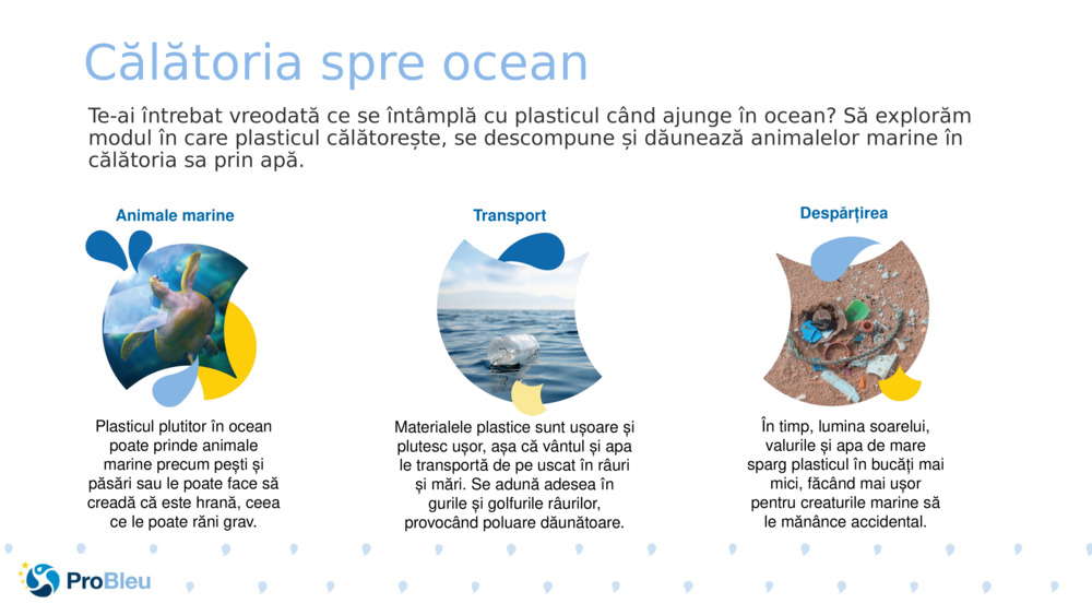 Călătoria spre ocean