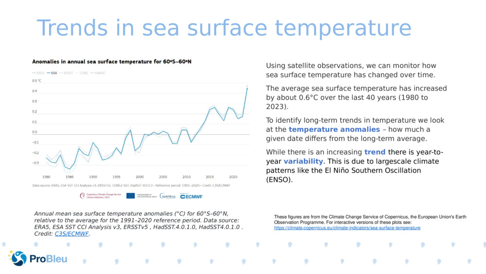 Trends in sea surface temperature