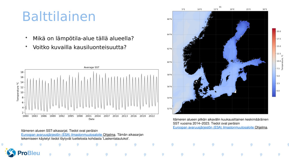 Balttilainen