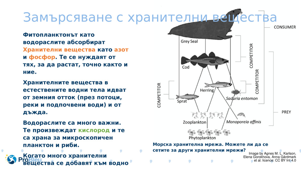 Замърсяване с хранителни вещества