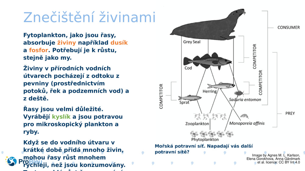 Znečištění živinami