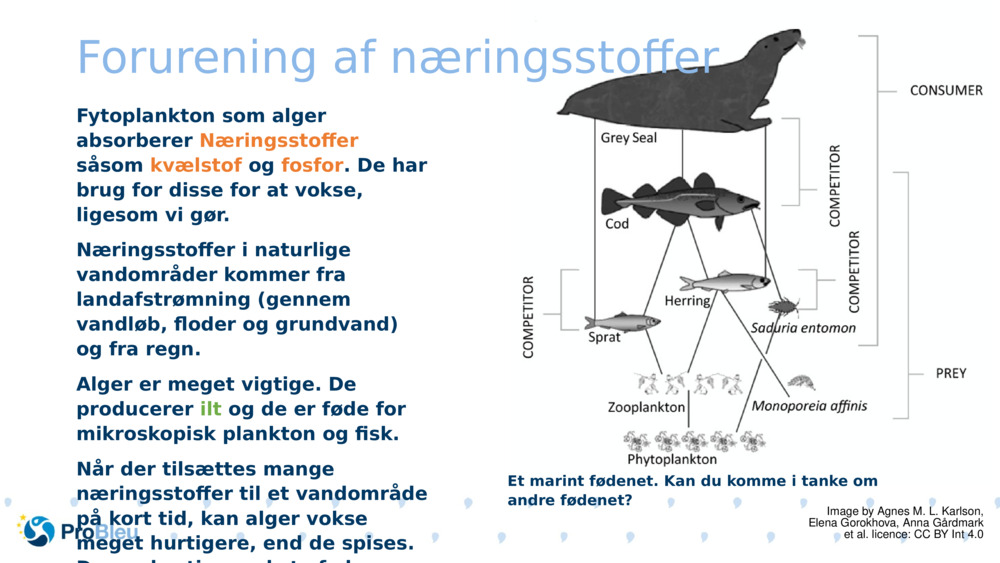 Forurening af næringsstoffer