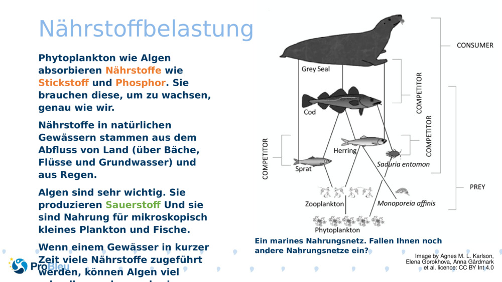 Nährstoffbelastung