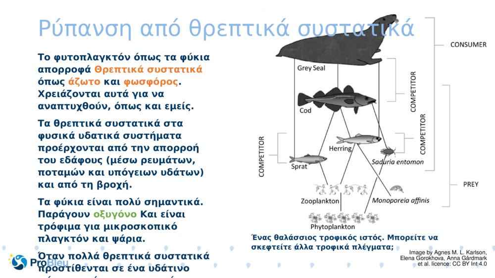 Ρύπανση από θρεπτικά συστατικά