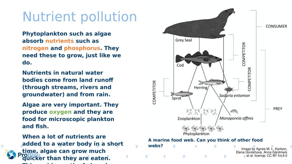 Nutrient pollution