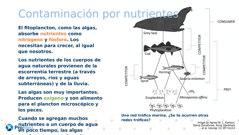 Contaminación por nutrientes