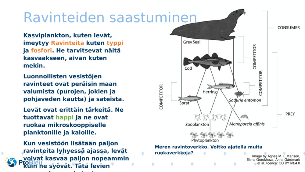 Ravinteiden saastuminen