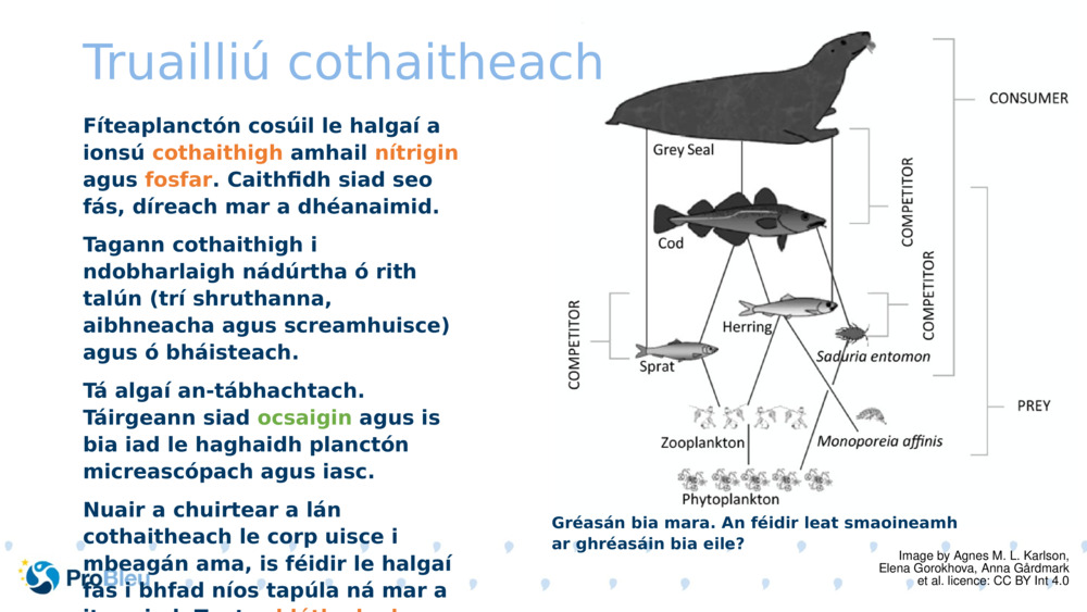 Truailliú cothaitheach