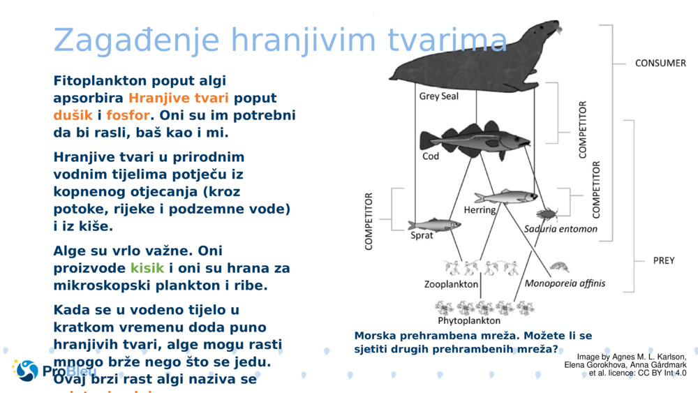 Zagađenje hranjivim tvarima