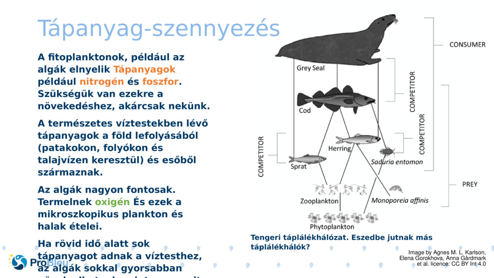 Tápanyag-szennyezés