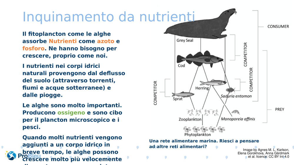 Inquinamento da nutrienti