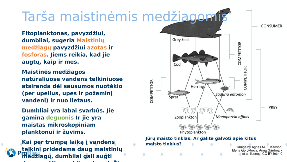 Tarša maistinėmis medžiagomis