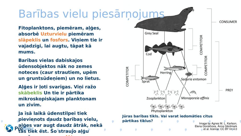 Barības vielu piesārņojums