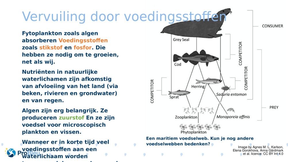 Vervuiling door voedingsstoffen