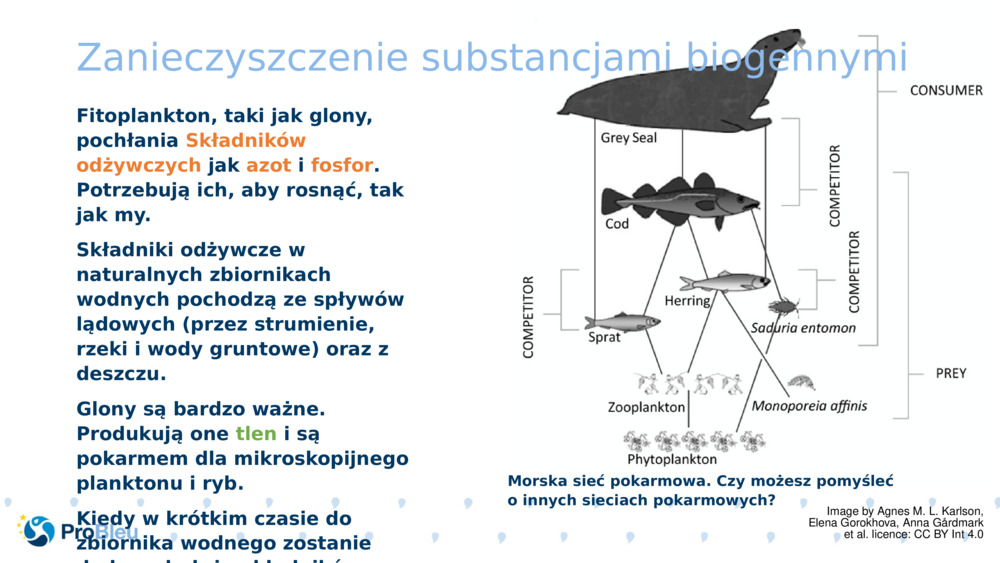 Zanieczyszczenie substancjami biogennymi