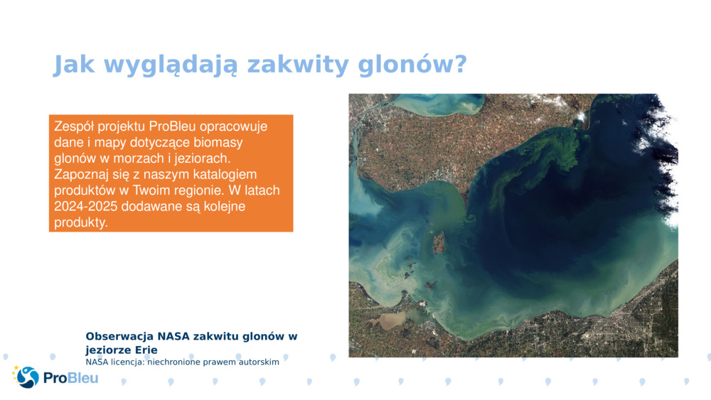 Jak wyglądają zakwity glonów?