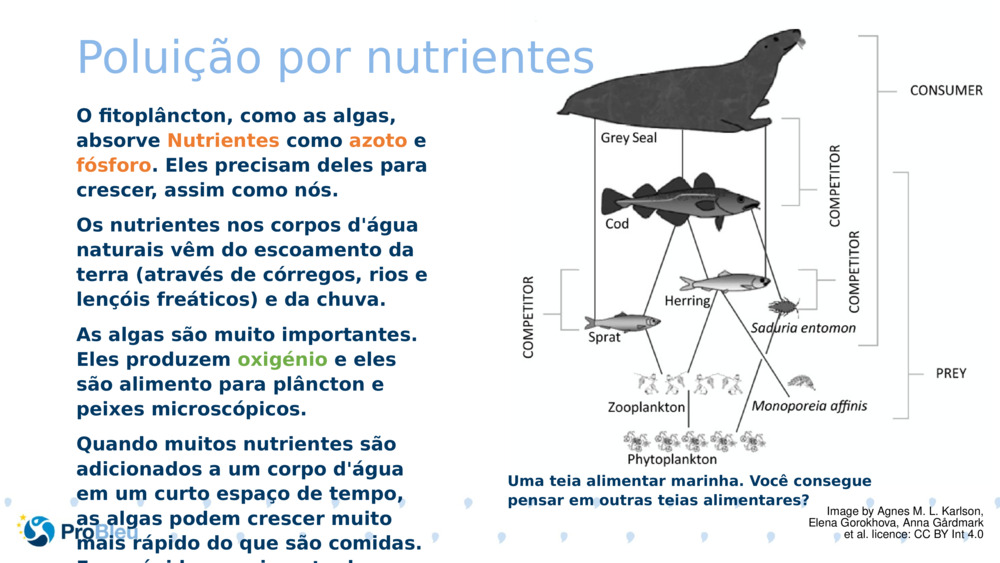 Poluição por nutrientes