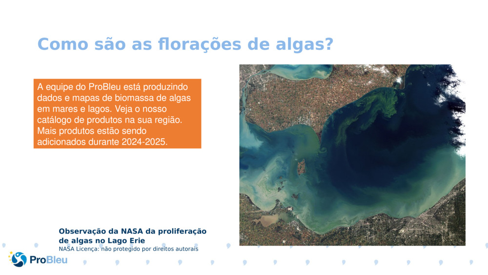 Como são as florações de algas?