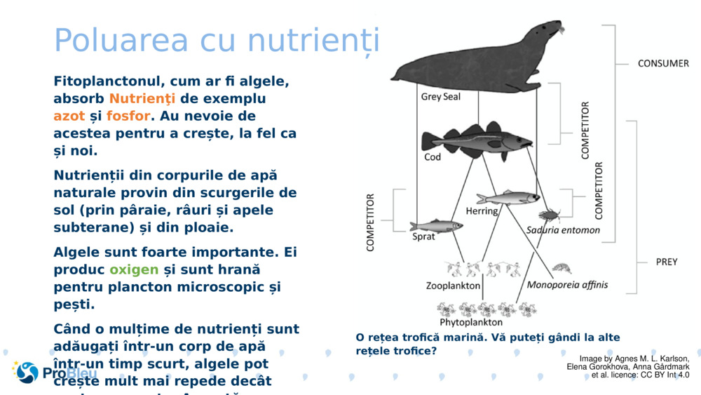 Poluarea cu nutrienți