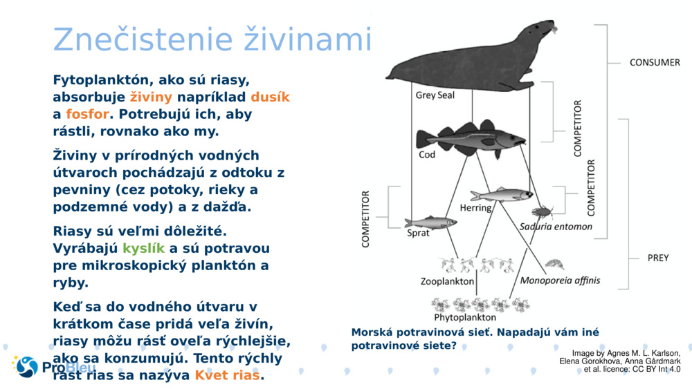 Znečistenie živinami