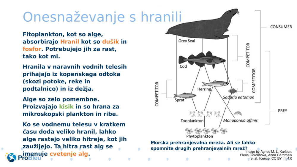 Onesnaževanje s hranili