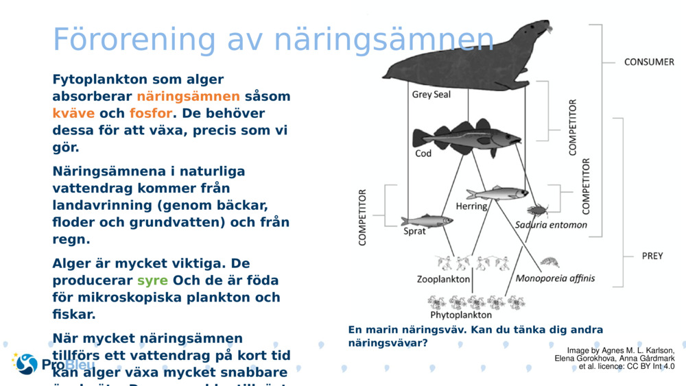 Förorening av näringsämnen