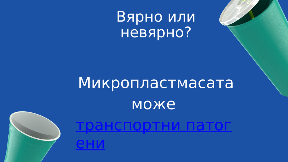 Вярно или невярно?