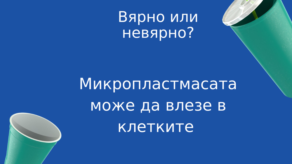 Вярно или невярно?