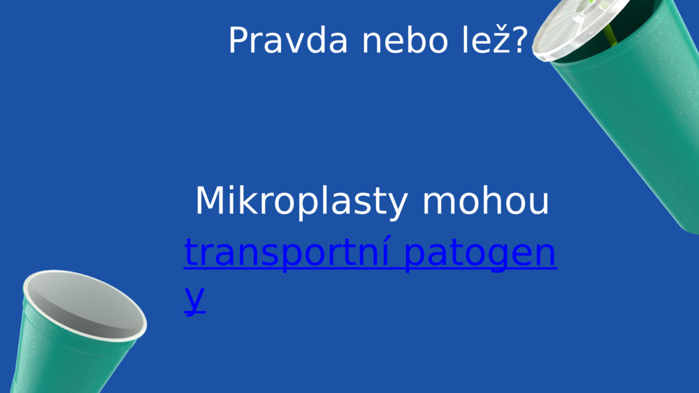 Pravda nebo lež?