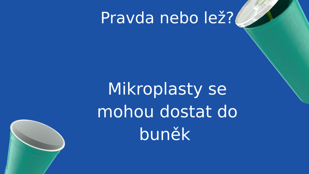 Pravda nebo lež?