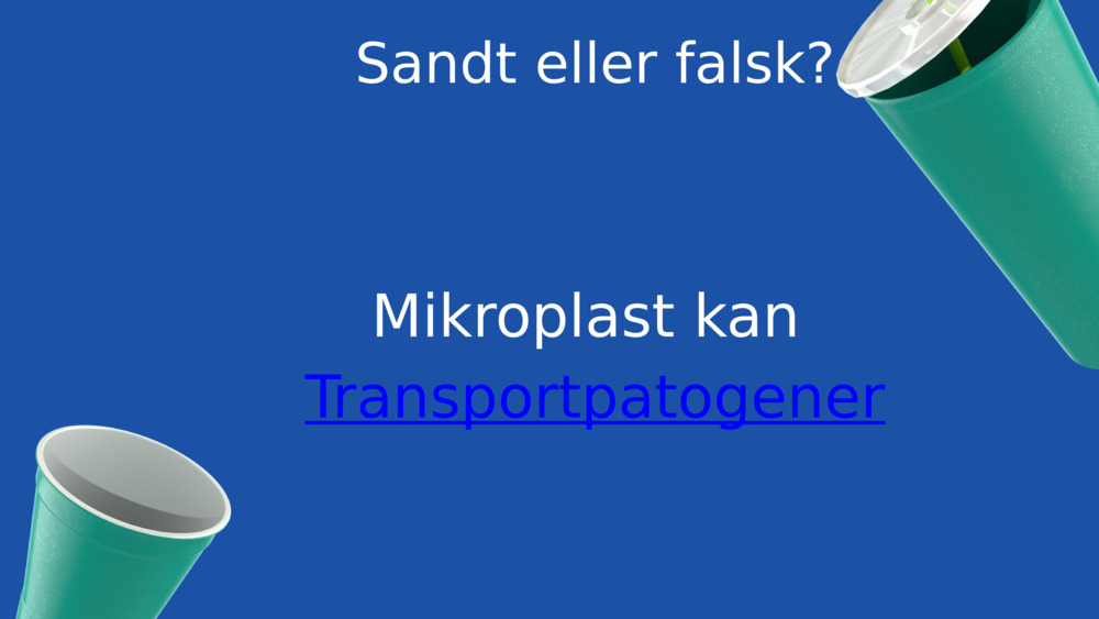 Sandt eller falsk?