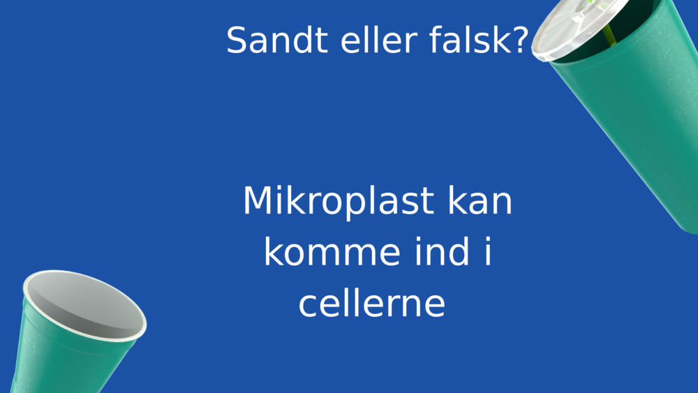 Sandt eller falsk?